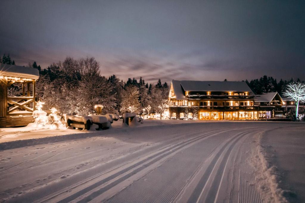 Hotel Grüner Wald photo 4