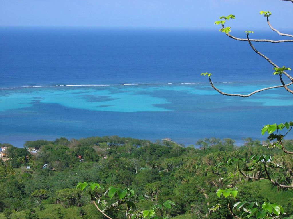 Roatan Bed & Breakfast Apartments photo 3