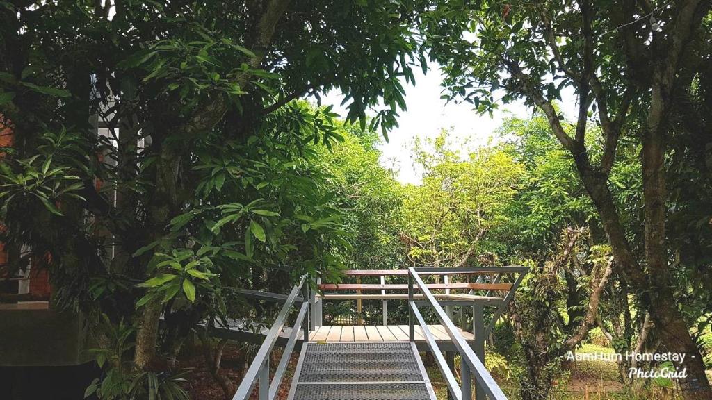 Aum Hum Homestay photo 3