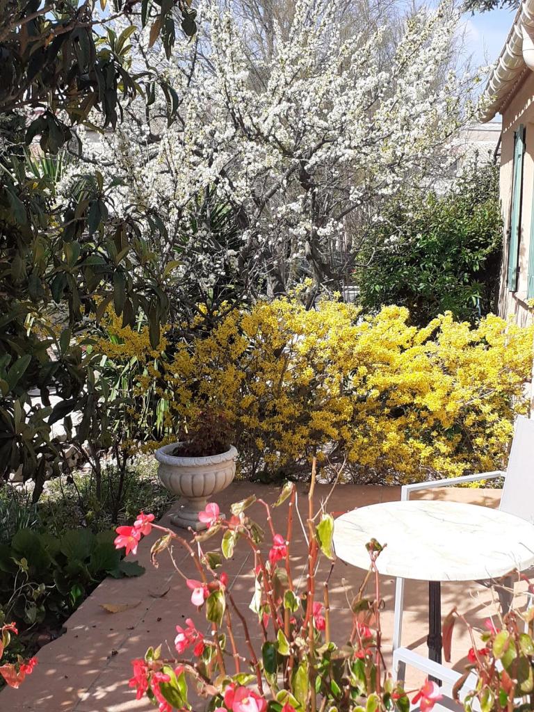 Logis Hôtel Restaurant Le Clos des Capitelles photo 3