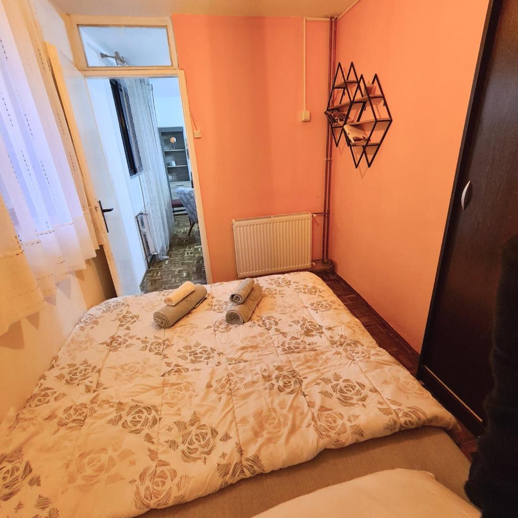 Apartmani Sunčev breg Vlasinsko jezero photo 1