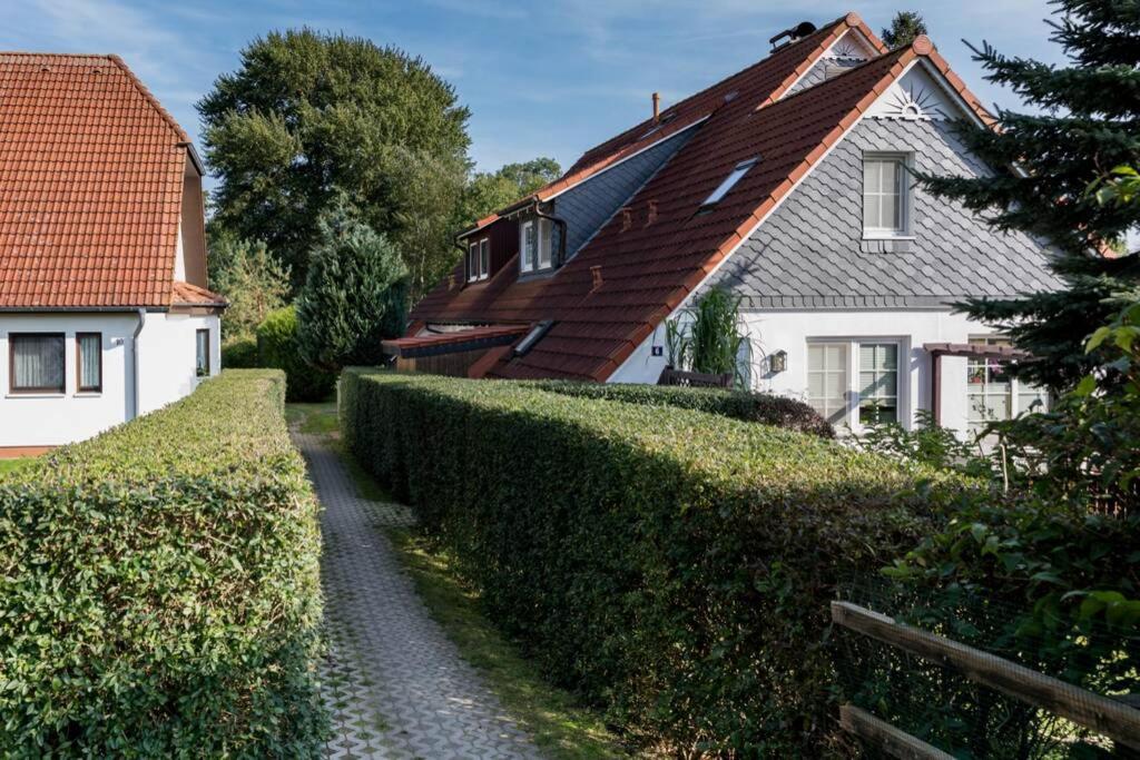 Weide - gemütliches Ferienhaus am Anger in Kloster, Insel Hiddensee photo 4