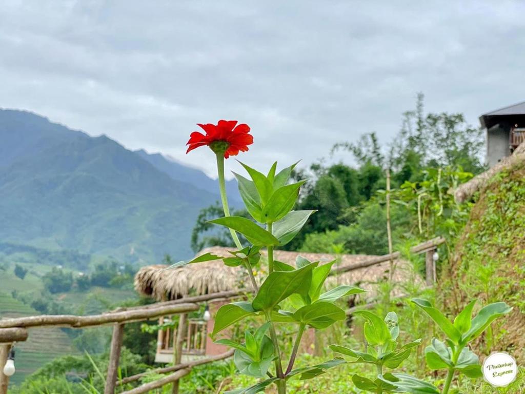 Chapa Farmstay - Mountain Retreat