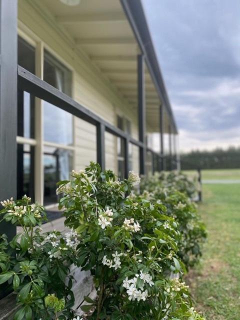 Ashburton Holiday Park photo 2
