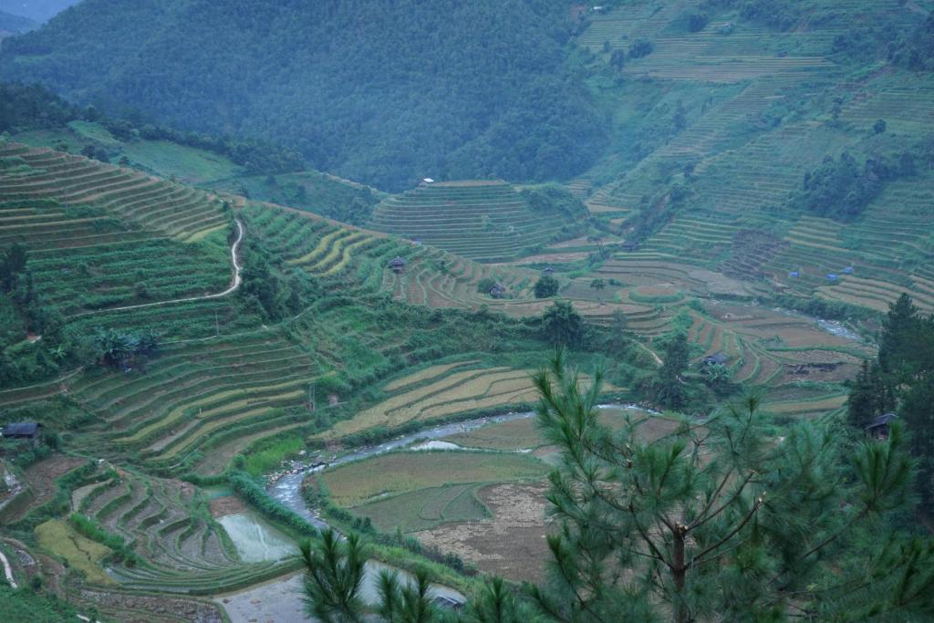 Hello Mu Cang Chai Homestay