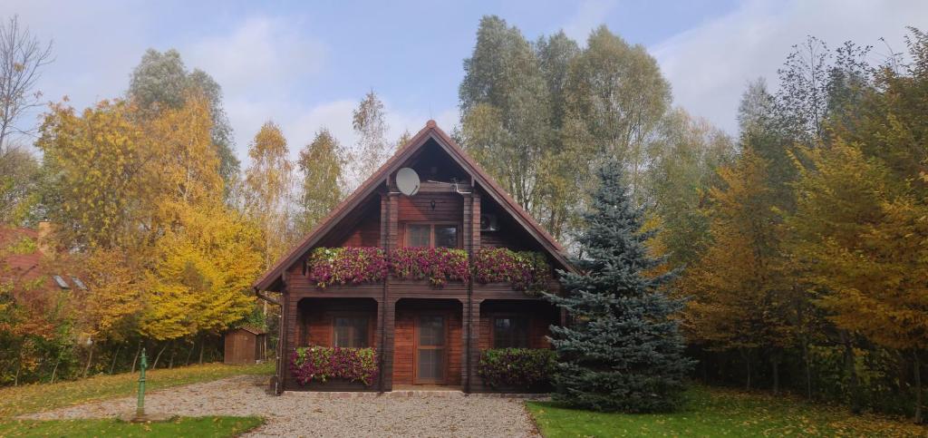 Lakeside Cottage photo 1