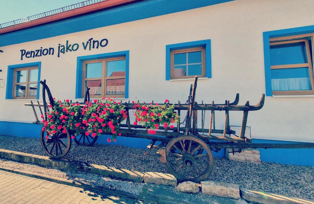 Penzion jako víno photo 1