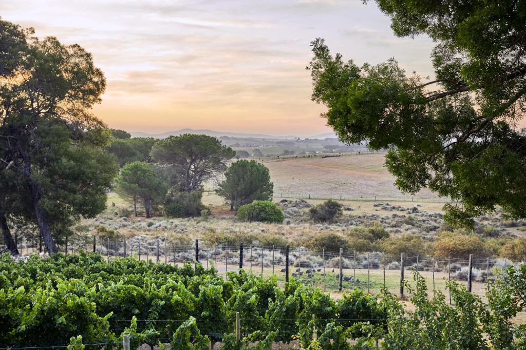 Deux Frères Wine Estate & Luxury Villas photo 3