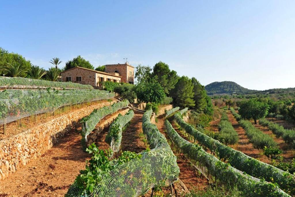 Es Castell de Ca n'Alou de Ses Cases Noves