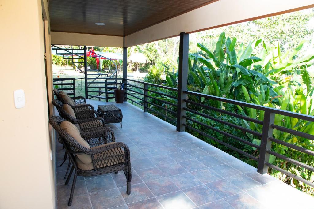 Jungle Lodge at Wild Sun Rescue Center photo 1