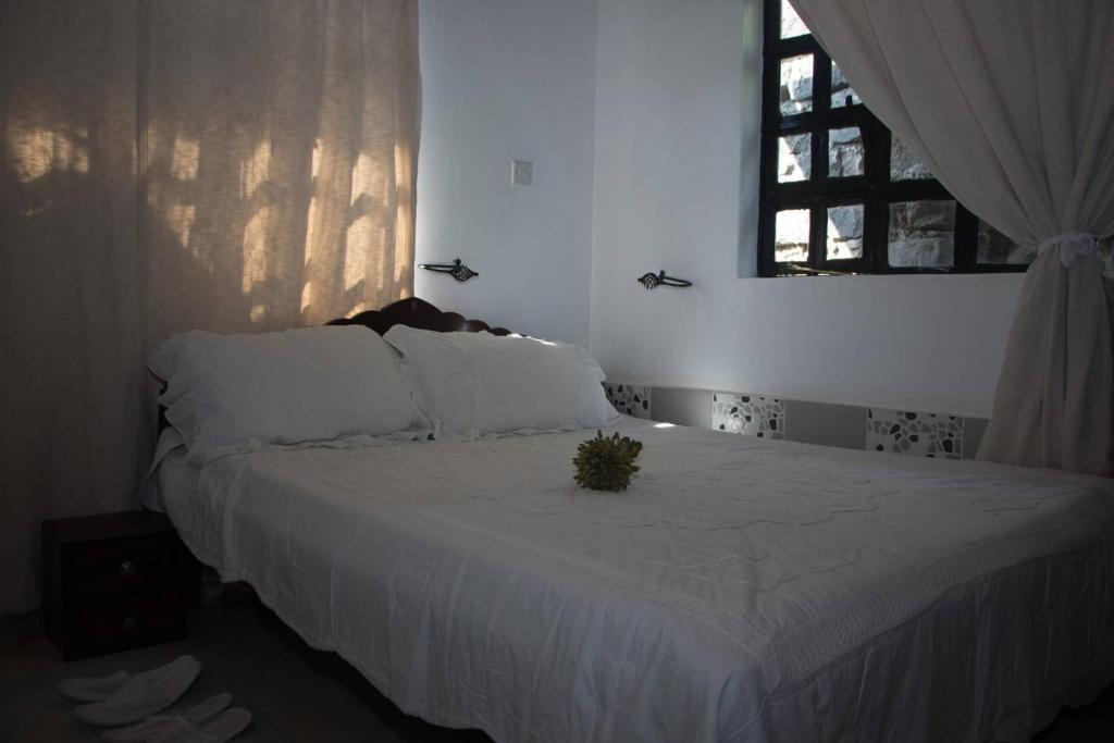 Room in Bungalow - Reens Vacation Rental Home photo 1
