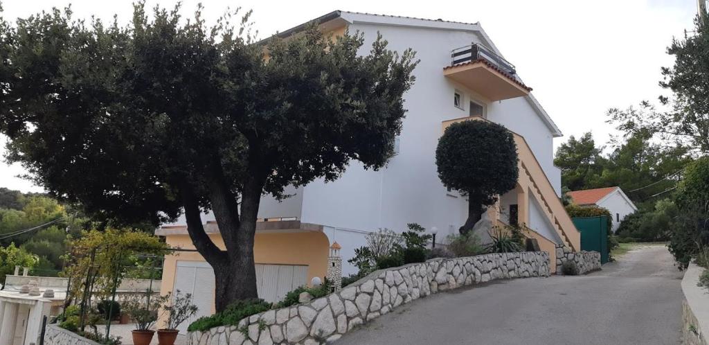 Guest House Violeta photo 2