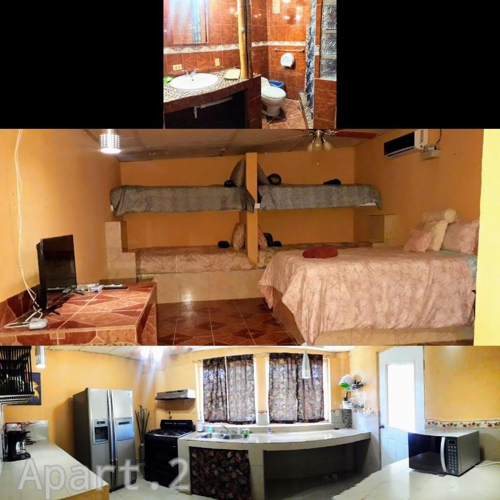 Windmill Hostal photo 3
