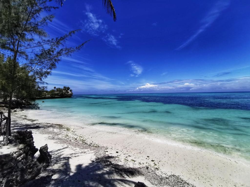 COCO REEF ECOLODGE photo 1