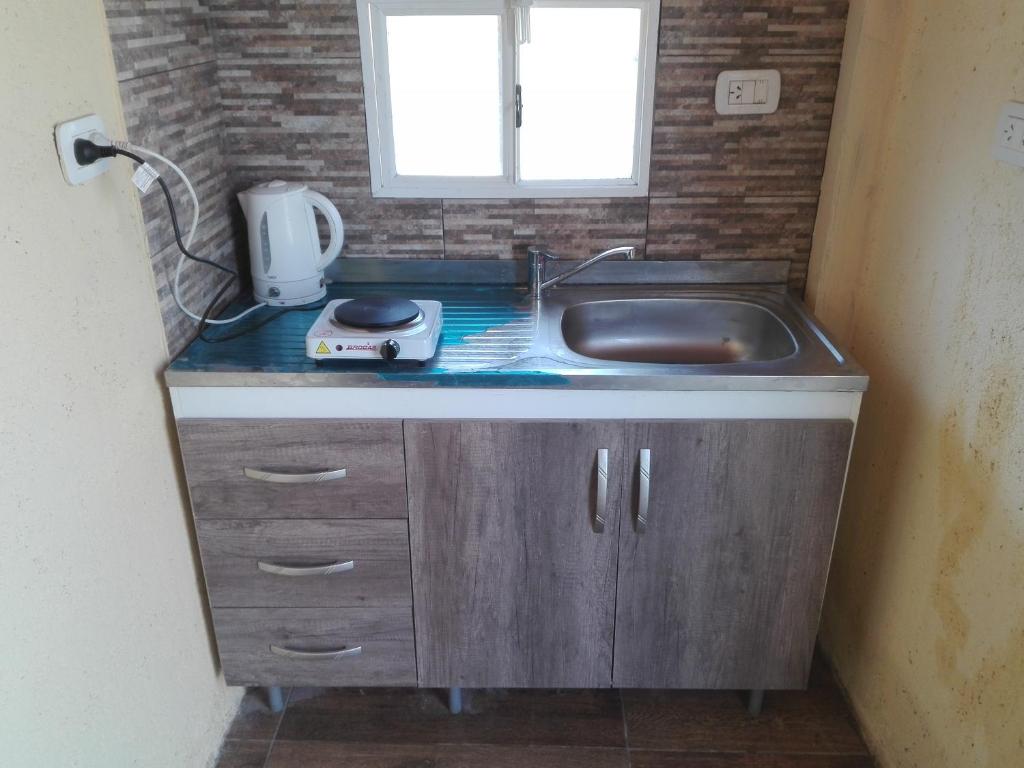 Andinas VI photo 3