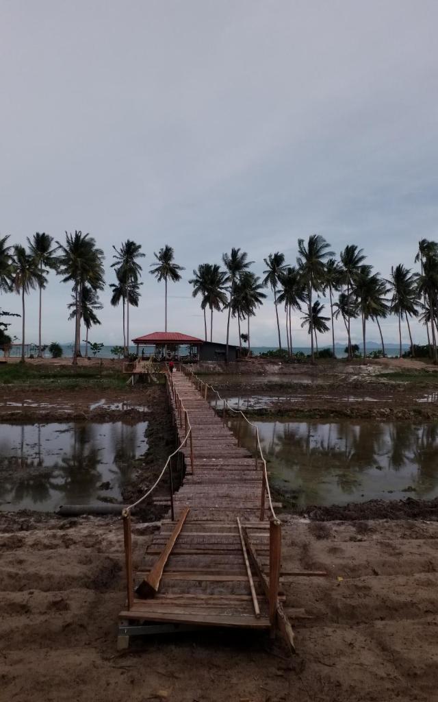 I - Talay Taling Ngam Samui - เขา ป่า นา เล ตลิ่งงาม สมุย photo 4
