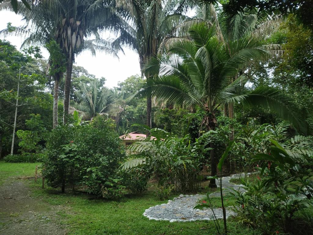 Four Monkeys Eco Lodge - Jungle & Beach photo 2