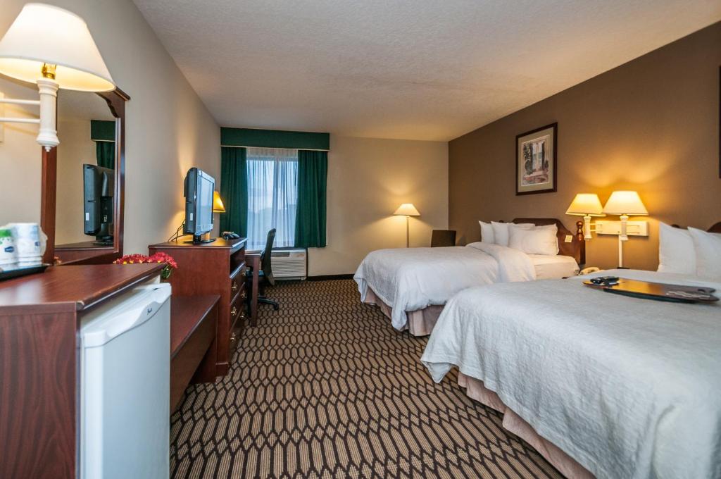 Holiday Inn - St. Petersburg West, an IHG Hotel photo 2