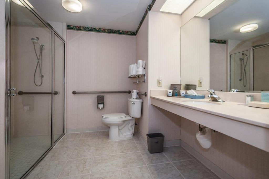 Holiday Inn - St. Petersburg West, an IHG Hotel photo 1