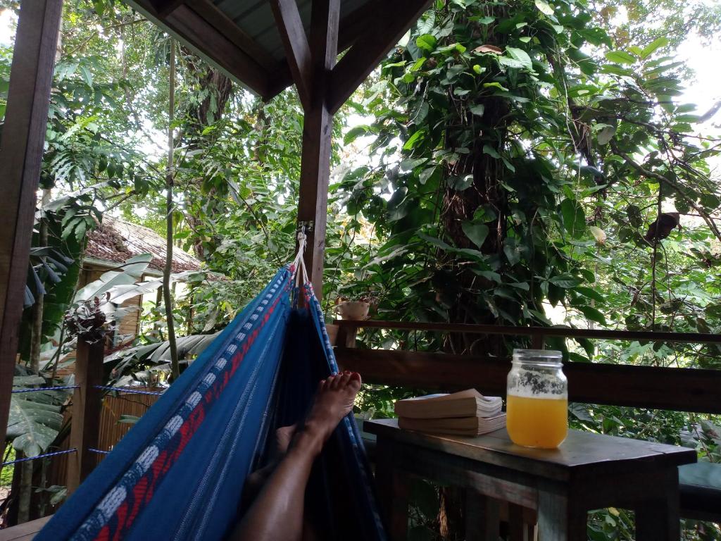 Jungle Paunch photo 1