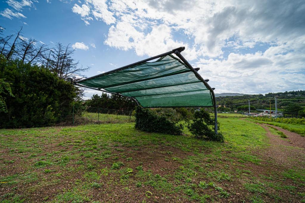 Villa Medina - Goelba photo 3