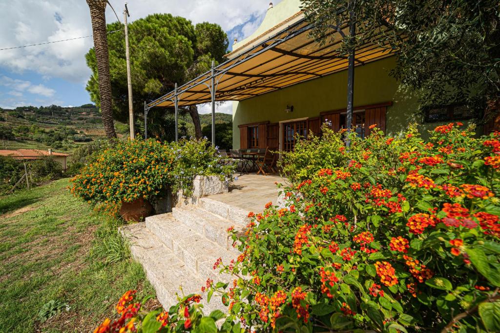 Villa Medina - Goelba photo 1