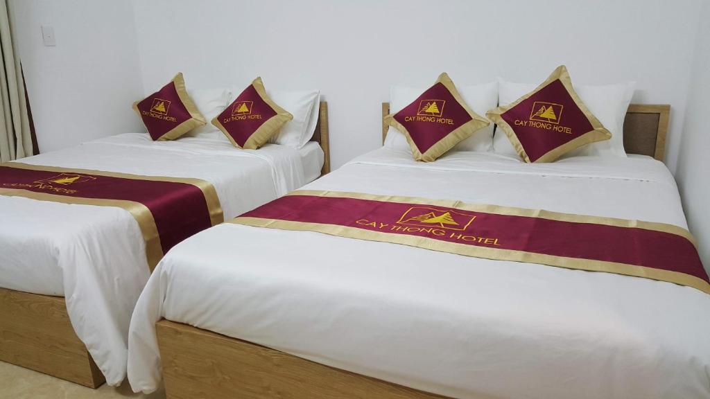 Khách Sạn Cây Thông