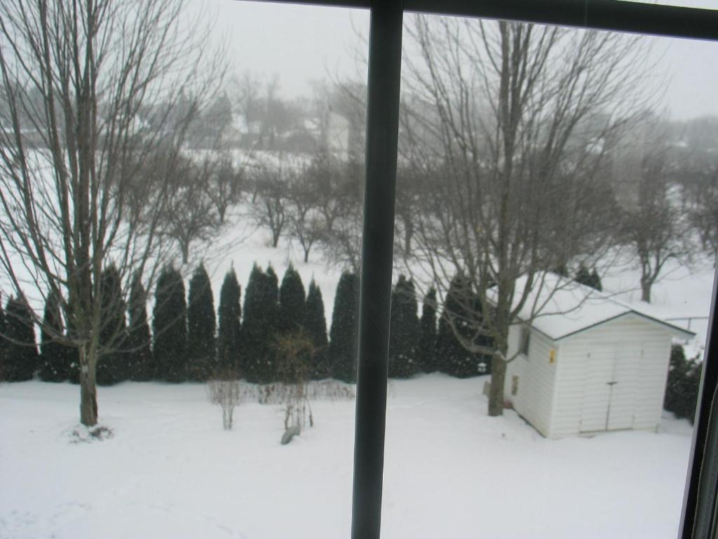 Arnica Bed & Breakfast photo 3