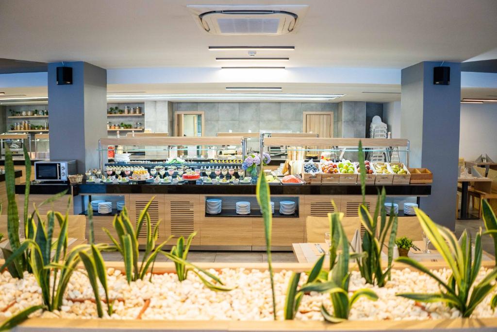 HVD Viva Club Ultra All Inclusive & Beach Snack Bar - Free Parking photo 3