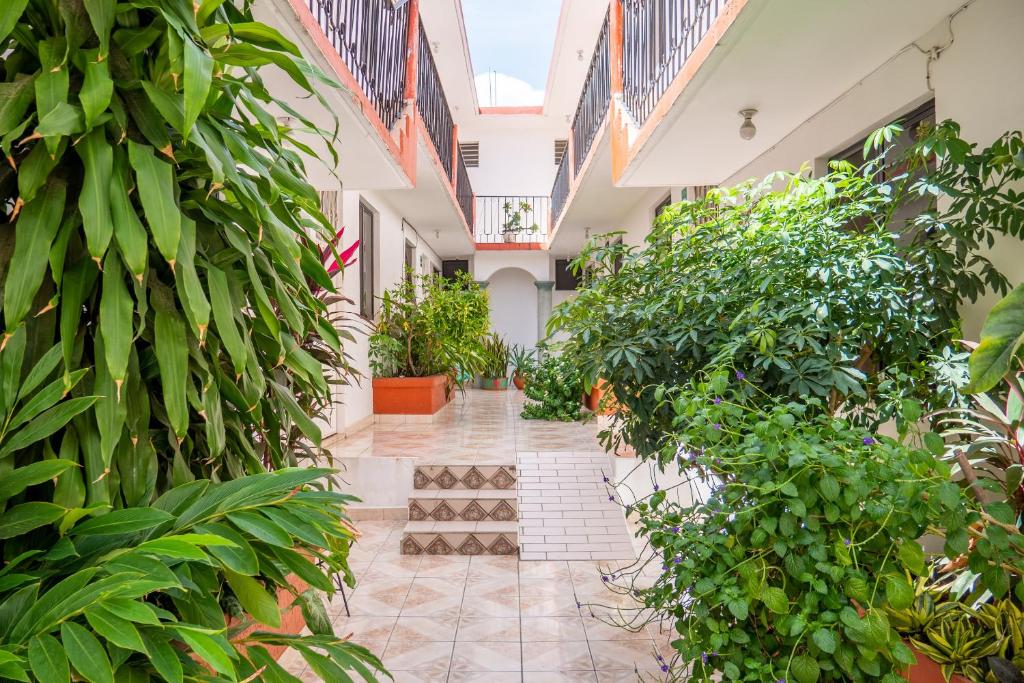 OYO Hotel Arena Surf, Puerto Escondido photo 1