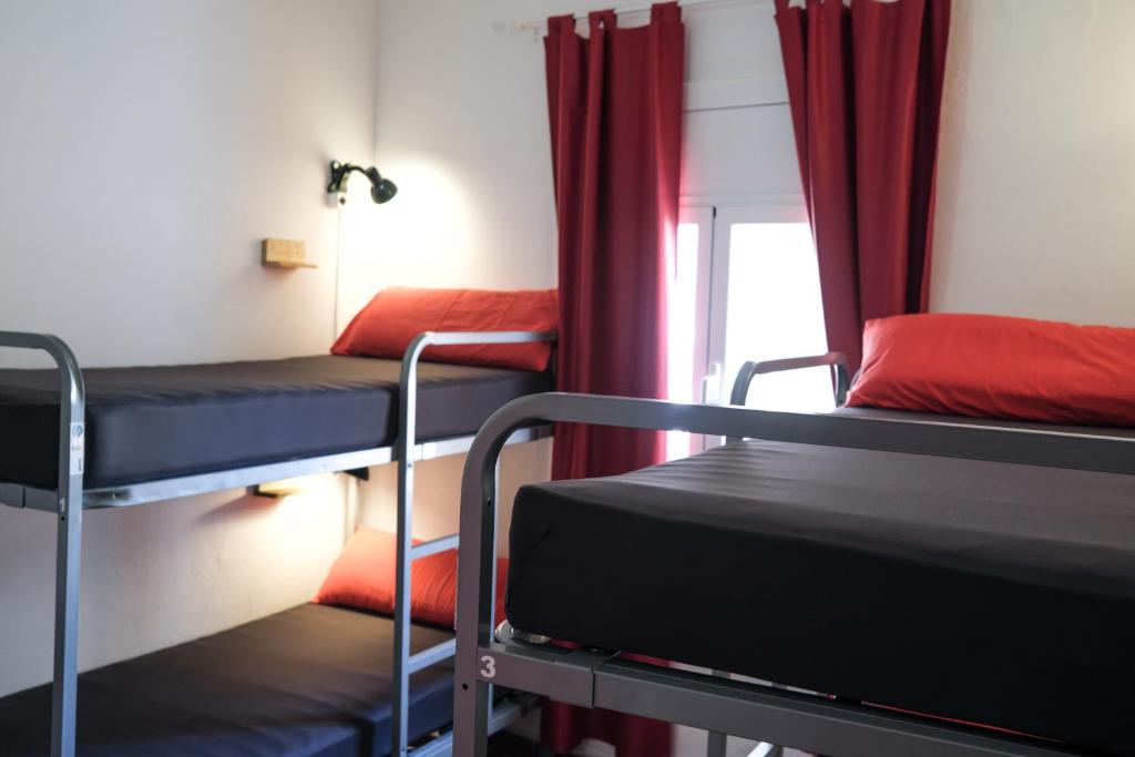 Mana Mana Youth Hostel Room Type - Single Bed in Female 4-Bed Dormitory Room