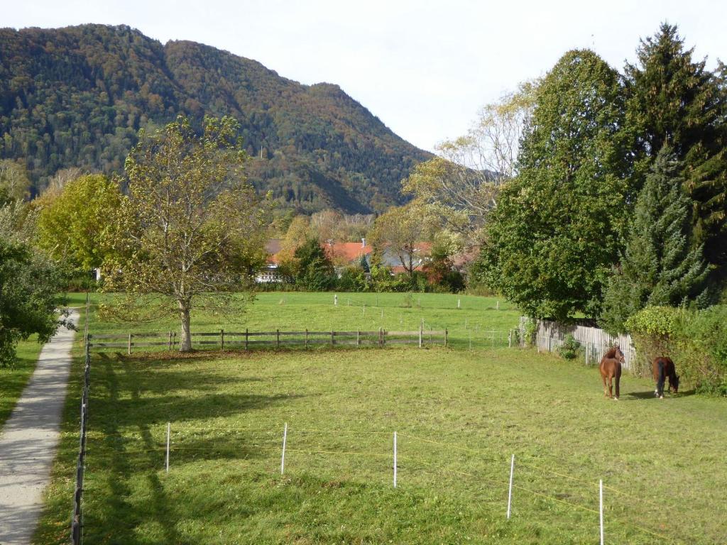 Ferienwohnung Schreiner-Viehhausen photo 2