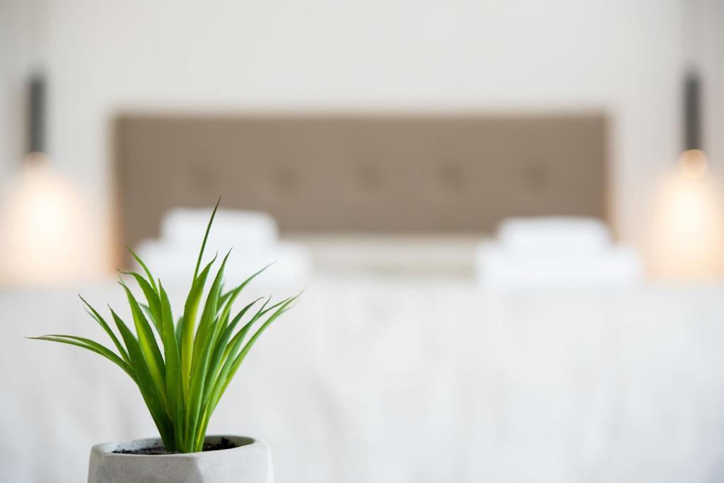 Terinikos Hotel Junior Suites & Apartments photo 4