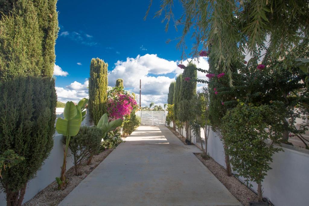 Villa Andriana photo 1