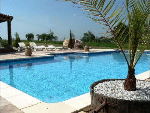 La Terrasse photo 3