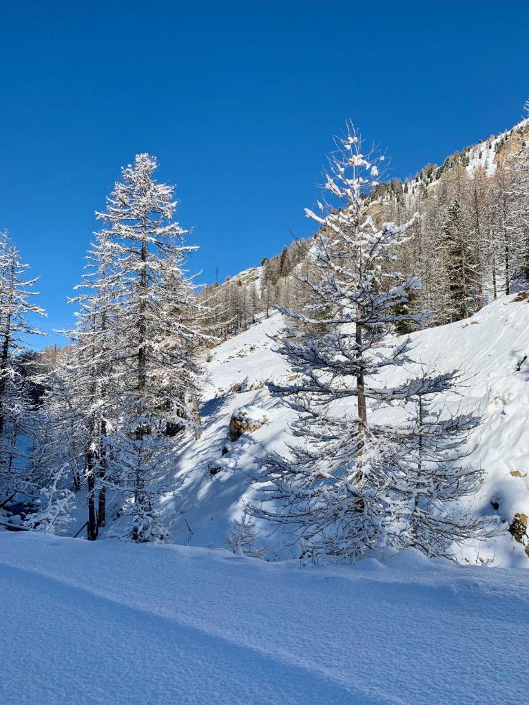 ISOLA Front de Neige - STUDIO photo 4