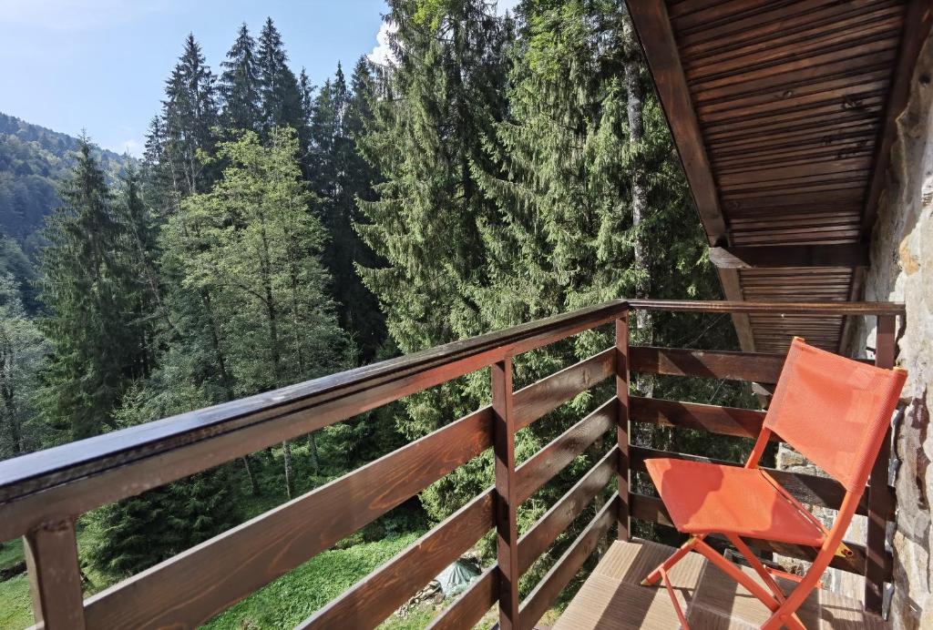 Cabana Zimbru Transfagarasan photo 4