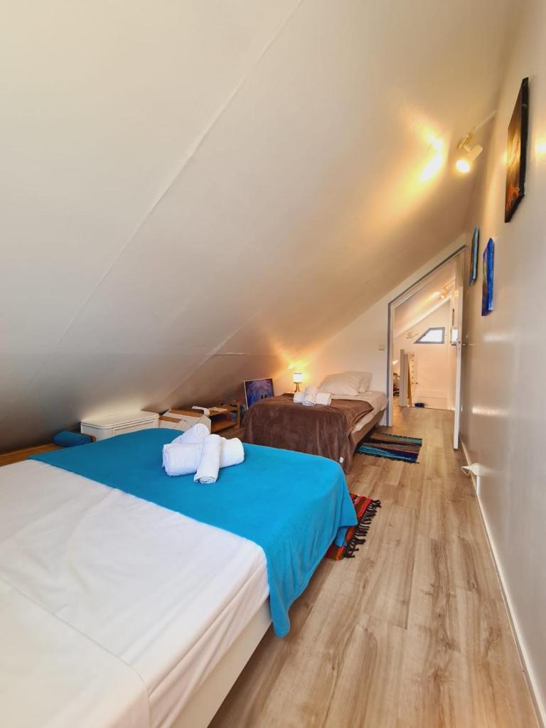 Appartement Croisière bleue à 20 m de la plage de Boucan canot pour 4 personnes photo 1