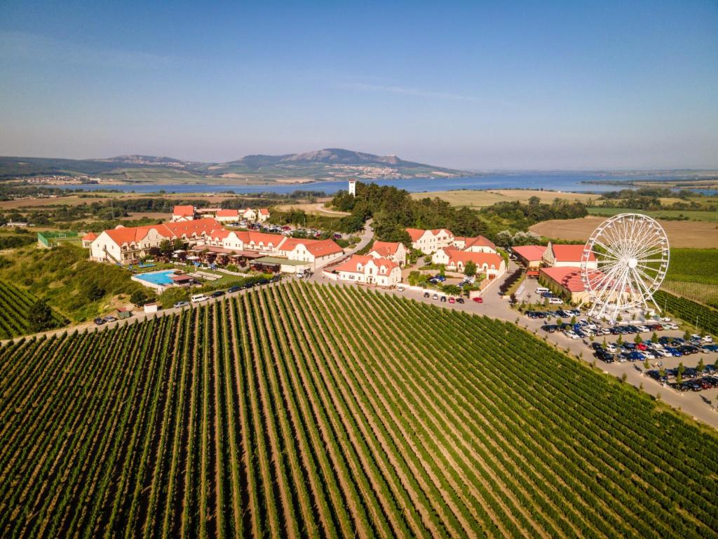 Vinařství U Kapličky photo 1