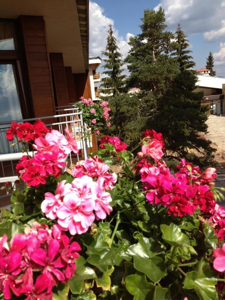 Dafovska Hotel photo 3