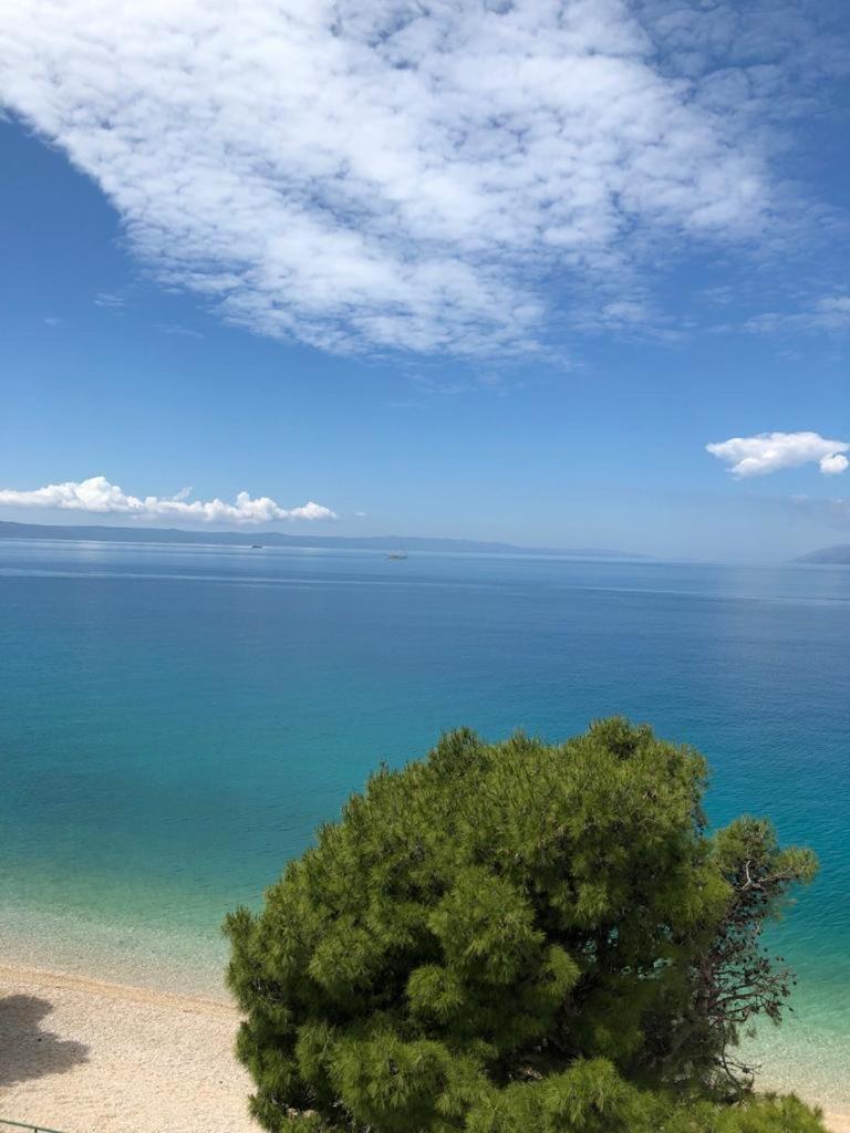 Villa Lucia photo 3