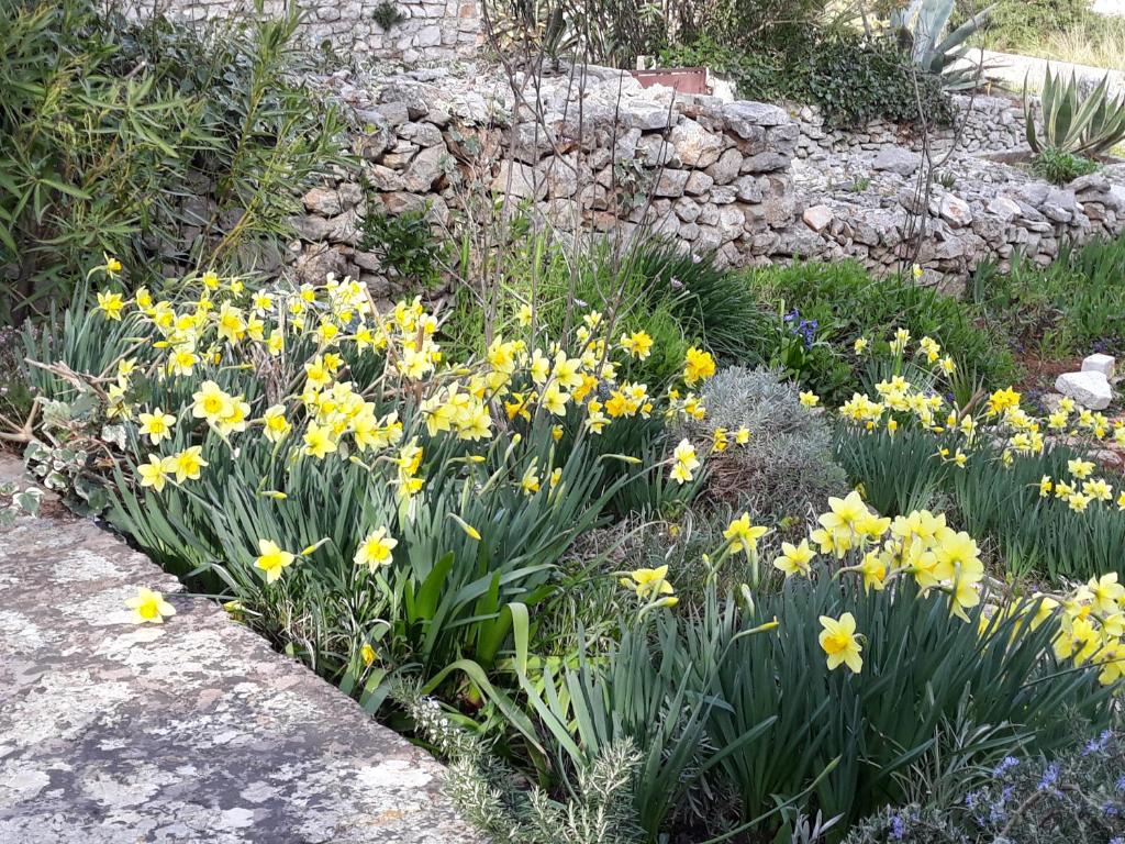 Holiday Home Villa Esperanca photo 4