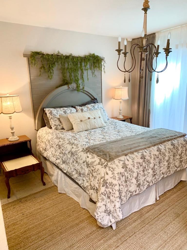 Central French Charm in Tucson image