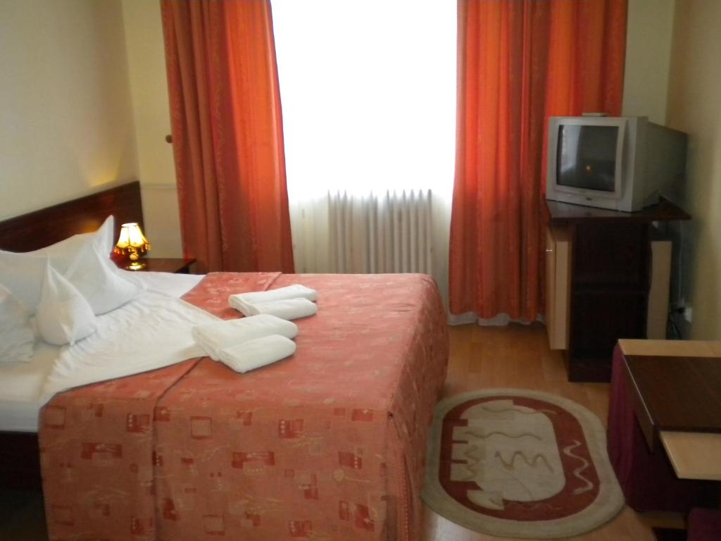 Hotel Decebal photo 4