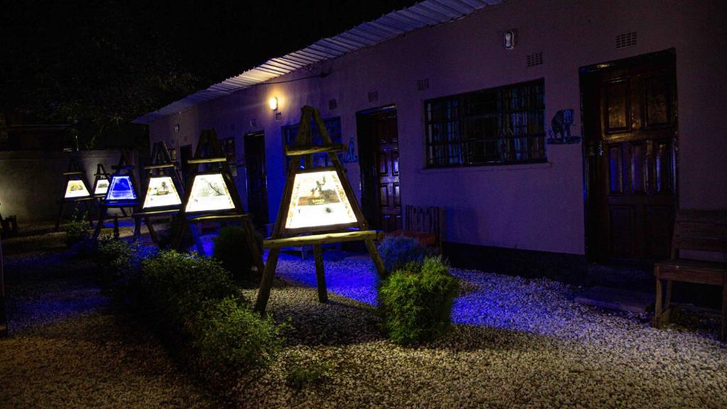 Lusaka Backpackers photo 2