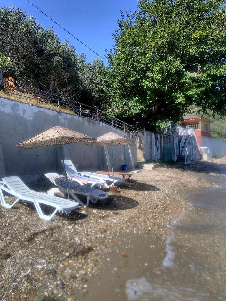 ada-art guesthouse design rooms next to beach photo 3