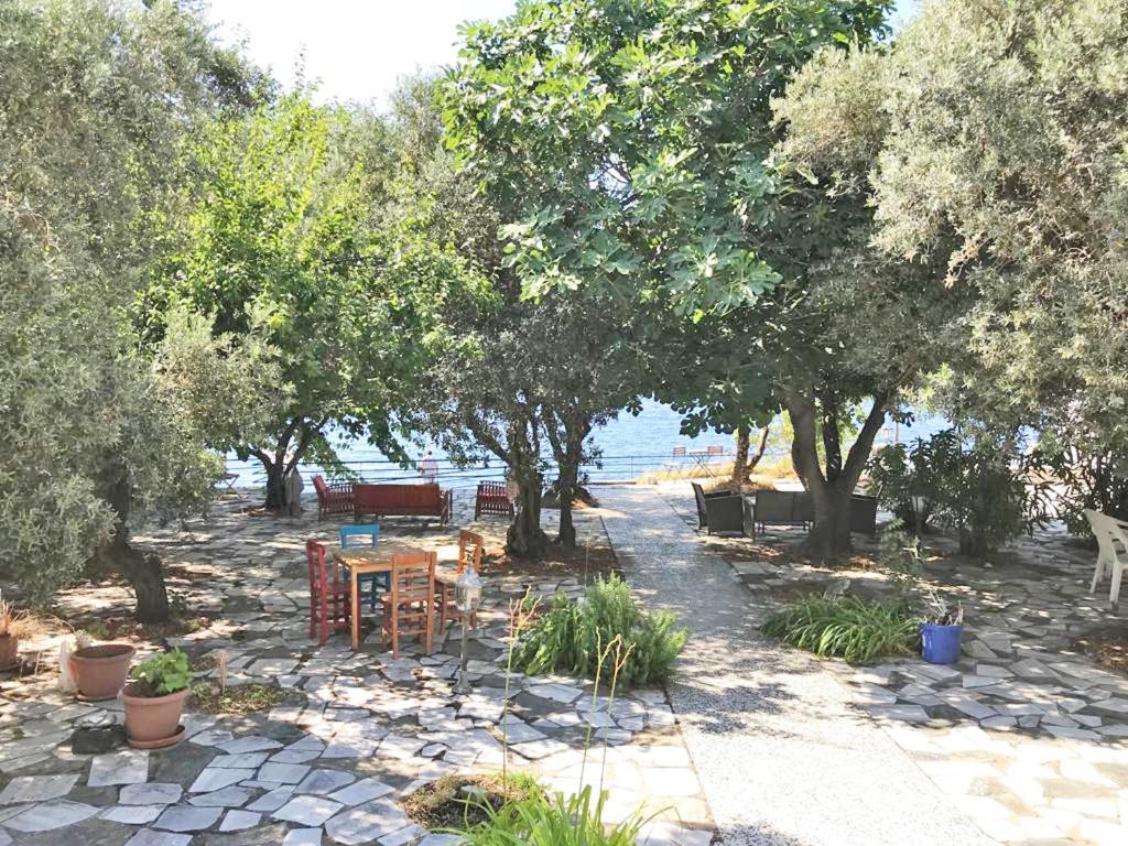 ada-art guesthouse design rooms next to beach