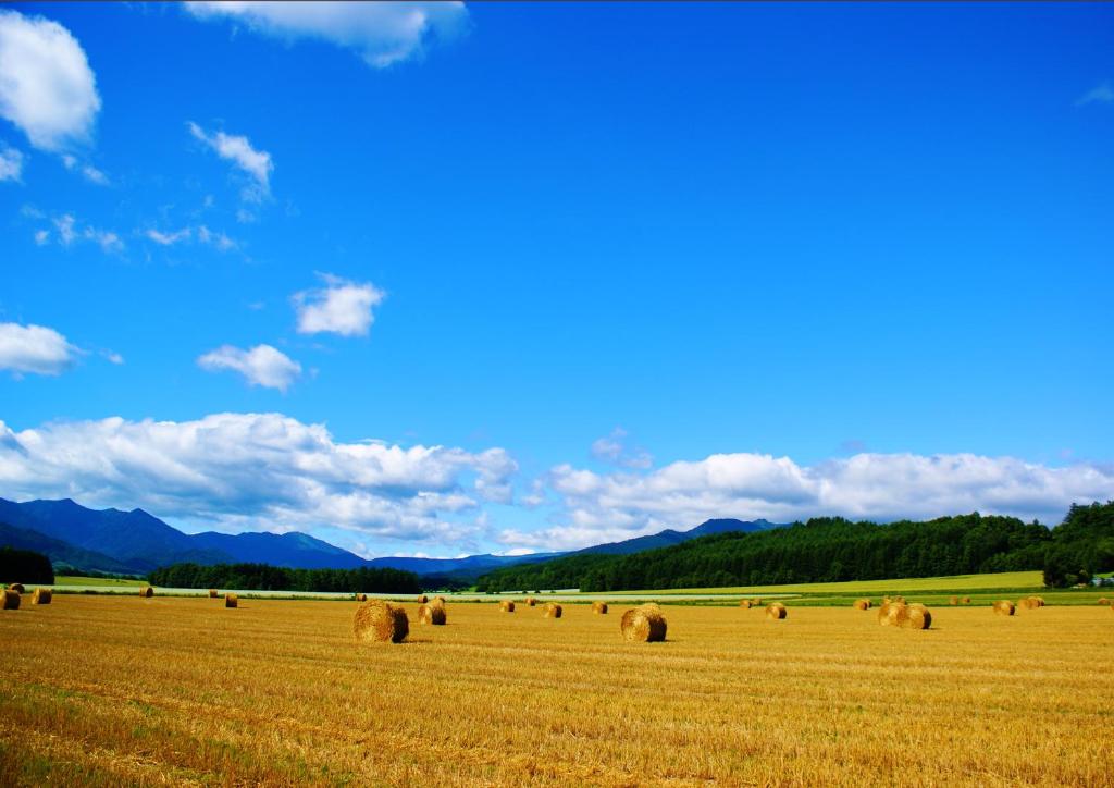 Farm Stay Ezura Farm photo 1