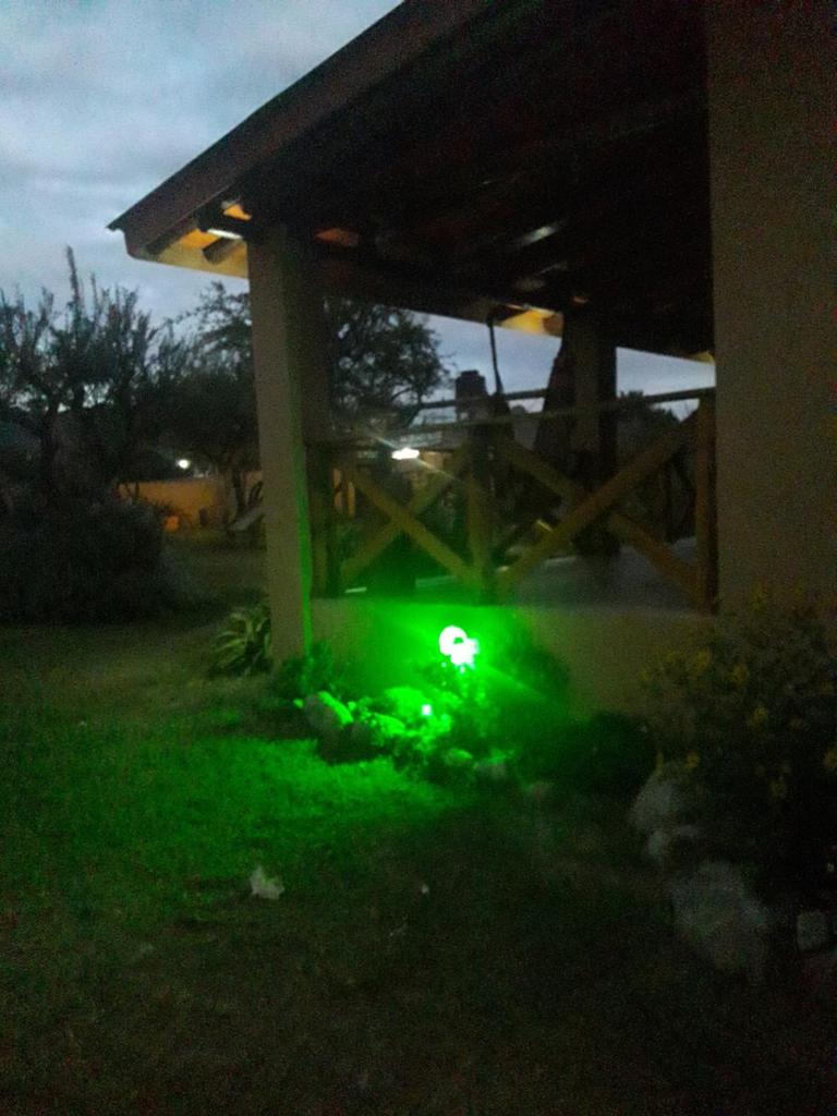 Estrella del Alma photo 1