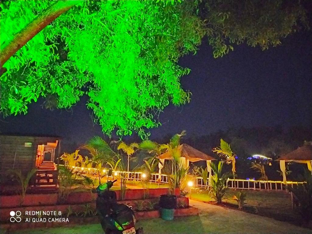 Трехместный (Трехместный номер Делюкс), Bliss Water Resort